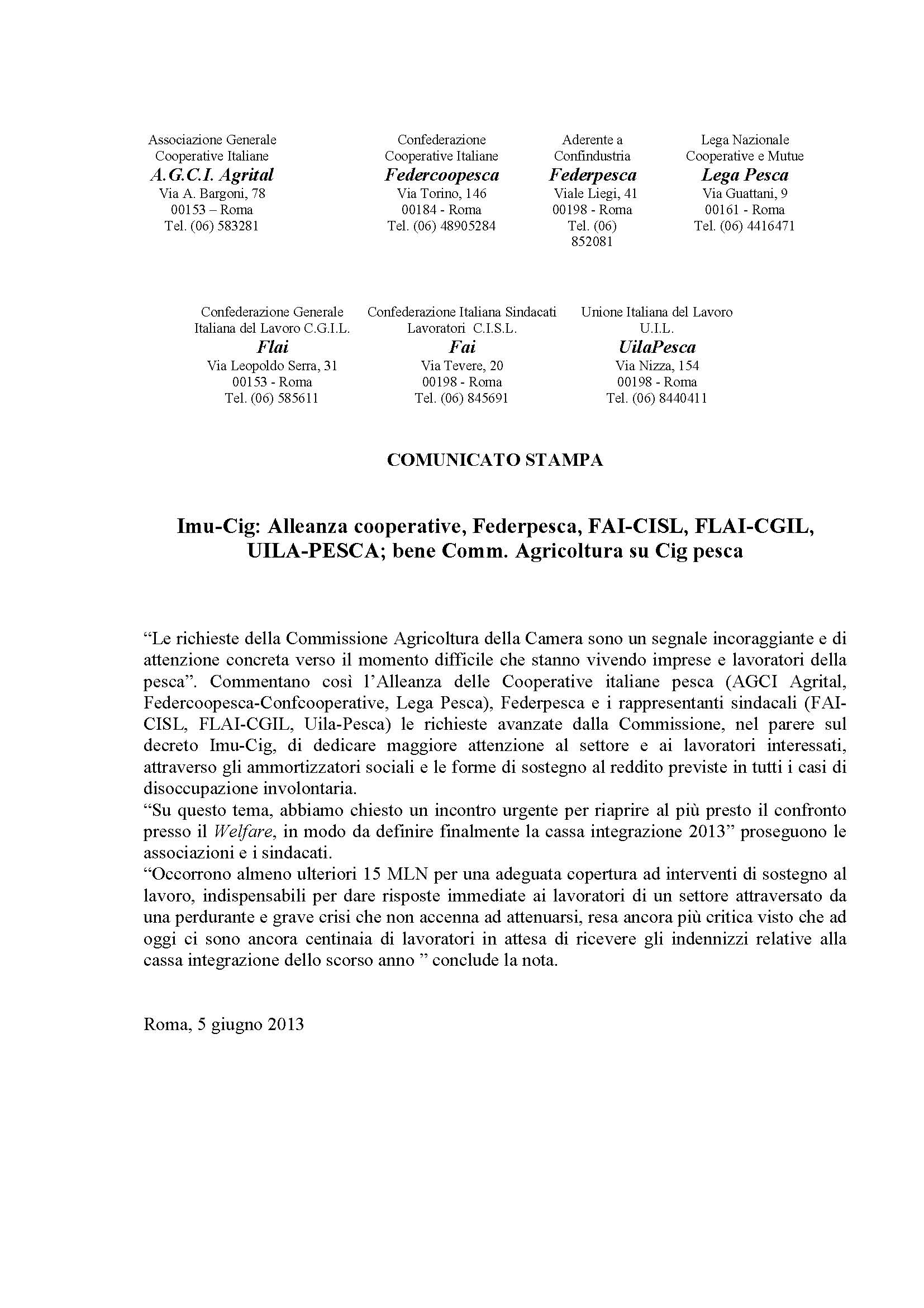 2013-06-05_-_CSU_congiunto_-_Comm_Agricoltura_e_CIG_Pesca